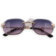 Lunettes teintées nuancée chic