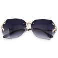 Lunettes grand carreaux teintées noires nuancées